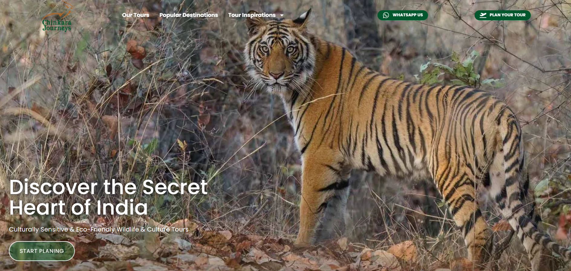 Screenshot 2025 07 09 125302 - IvolveLabs