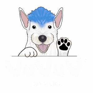 Ivolve Labs Services 9